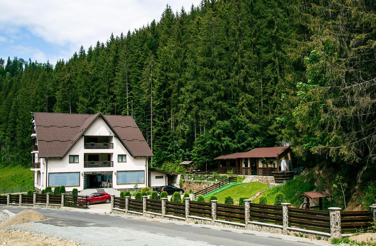 Perla Padurii Hotel Valea Mare  Buitenkant foto