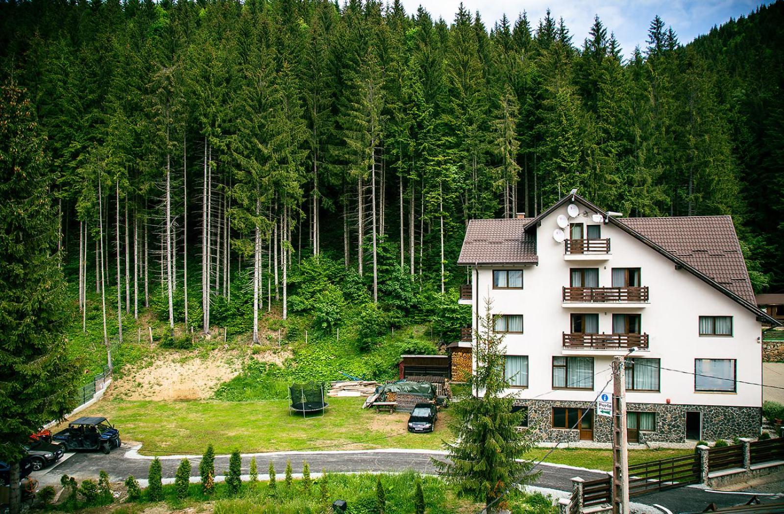 Perla Padurii Hotel Valea Mare  Buitenkant foto