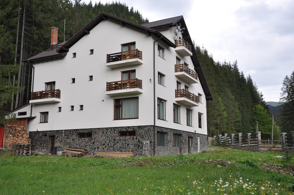 Perla Padurii Hotel Valea Mare  Buitenkant foto