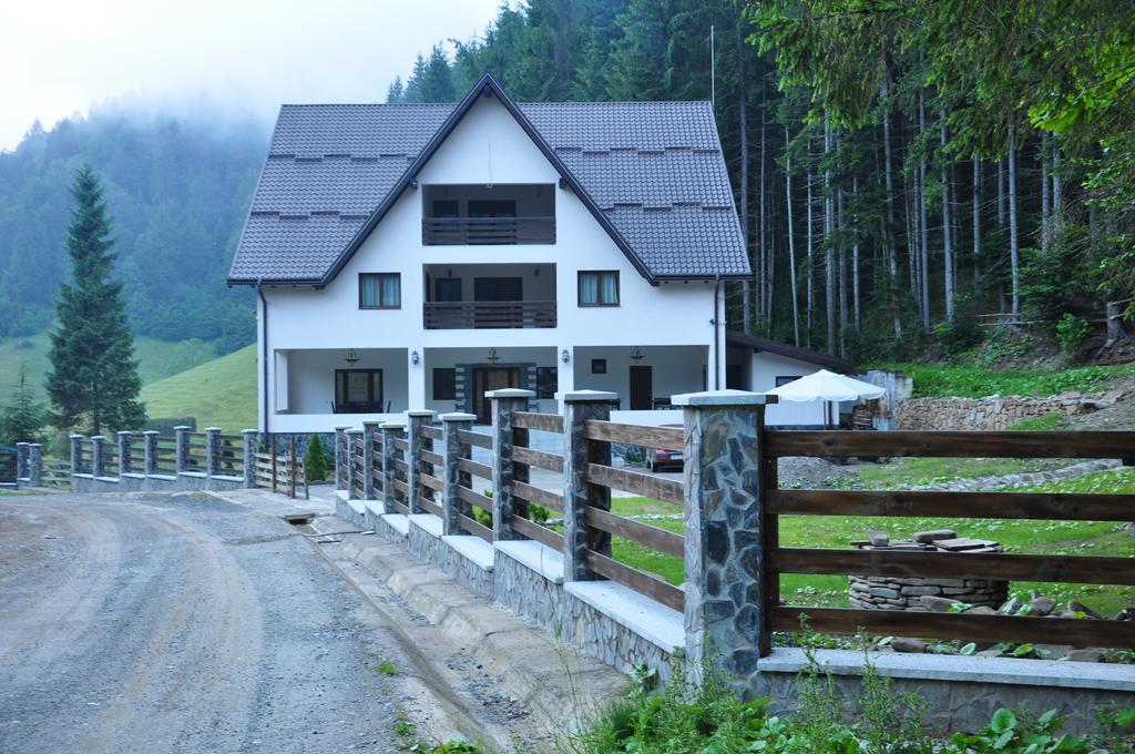 Perla Padurii Hotel Valea Mare  Buitenkant foto
