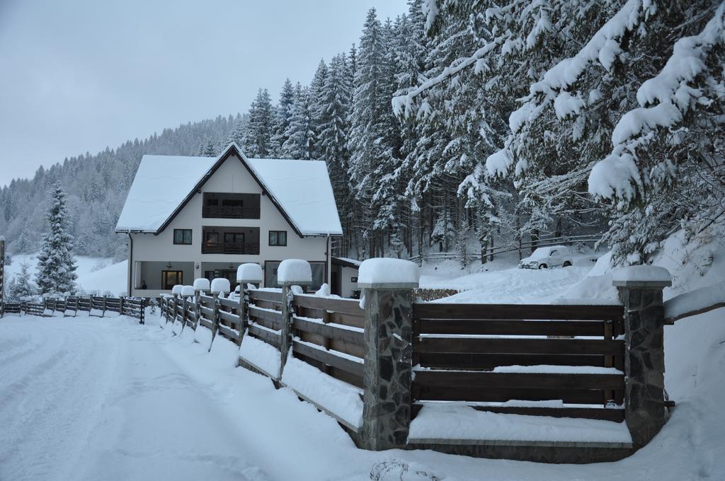 Perla Padurii Hotel Valea Mare  Buitenkant foto
