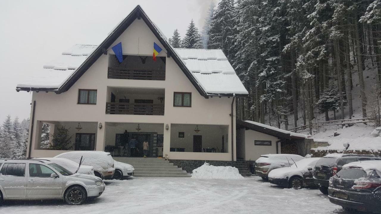 Perla Padurii Hotel Valea Mare  Buitenkant foto