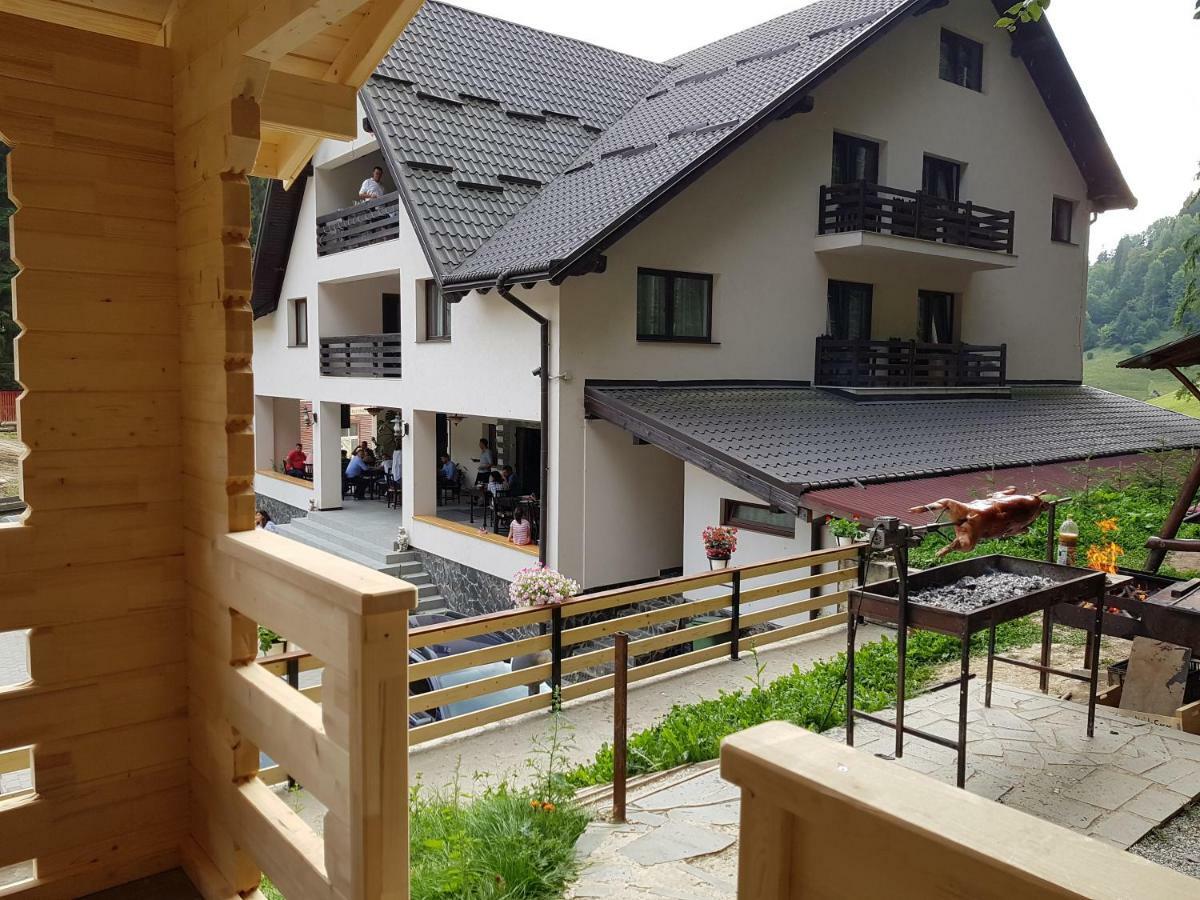 Perla Padurii Hotel Valea Mare  Buitenkant foto