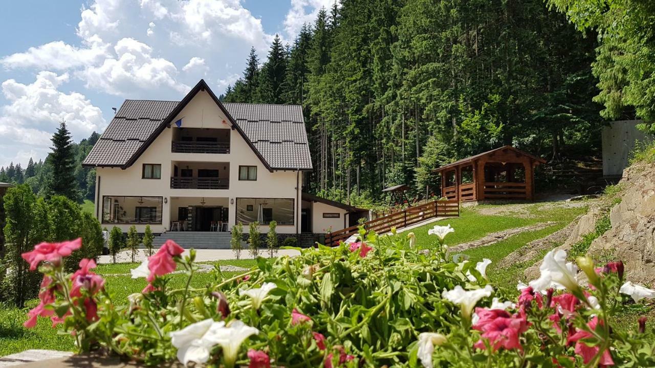 Perla Padurii Hotel Valea Mare  Buitenkant foto
