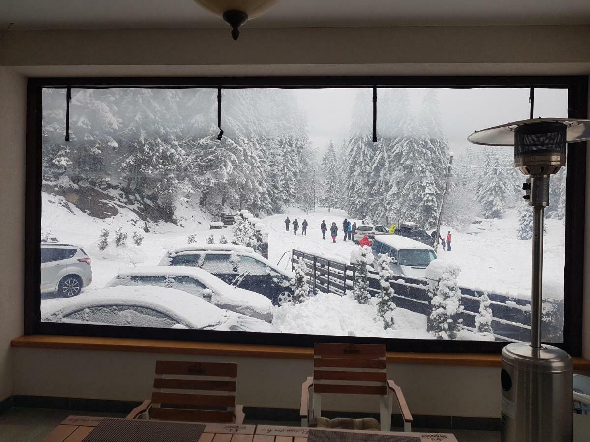 Perla Padurii Hotel Valea Mare  Buitenkant foto