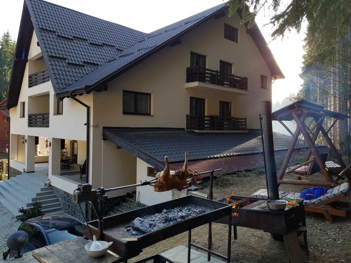 Perla Padurii Hotel Valea Mare  Buitenkant foto